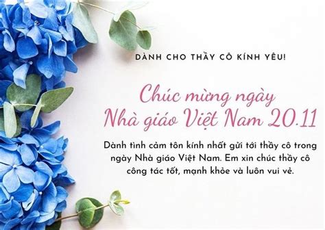 Lời chúc 20 11 ngắn gọn ý nghĩa dành tặng thầy cô Tạp chí Gia Đình