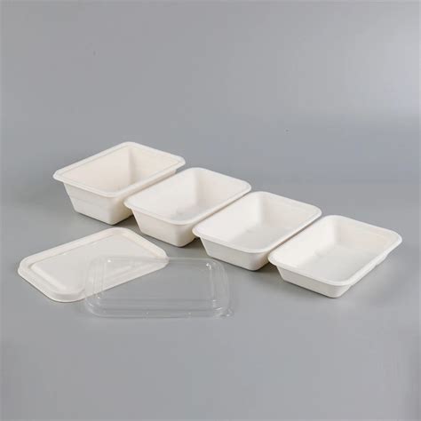 Biodegradable Disposable Food Container Ml Box Bagasse Biodegradable