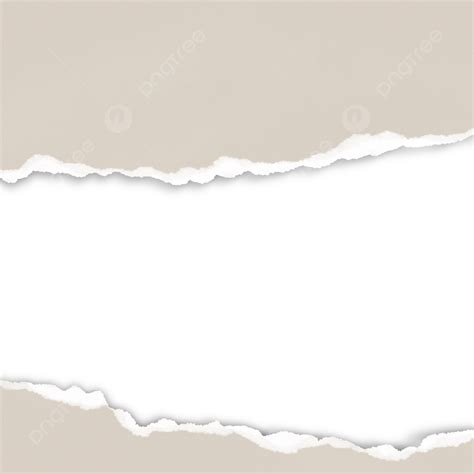 Torn Paper Texture Png Torn Edge Png Stunning Free Transparent Png Images