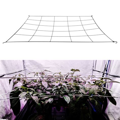 single 6" mesh flexible grow tent scrog net. Fits sizes 5x5 and under. – Stretchy Nets