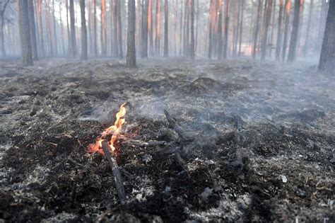 Trudna Sytuacja W Lasach Zagro Enie Po Arowe Niemal W Ca Ym Kraju