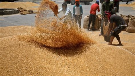 Centre Aims Seven Fold Jump In Wheat Procurement From Uttar Pradesh