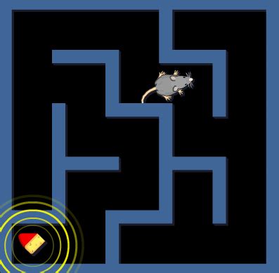 Games: Rat Maze