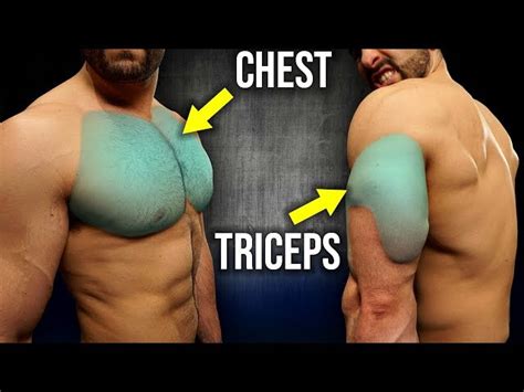 Insane Chest And Triceps Workout Eoua Blog