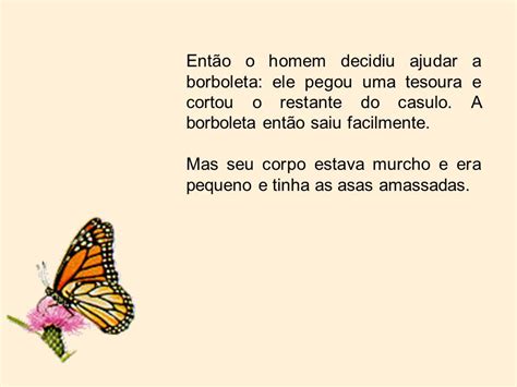 Texto A Lição Da Borboleta