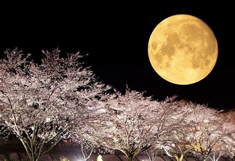 Arriva La Luna Piena Di Aprile Che Decider La Data Di Pasqua Ecco Quando