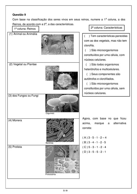 Exercícios Sobre Classificação Dos Seres Vivos Gabarito