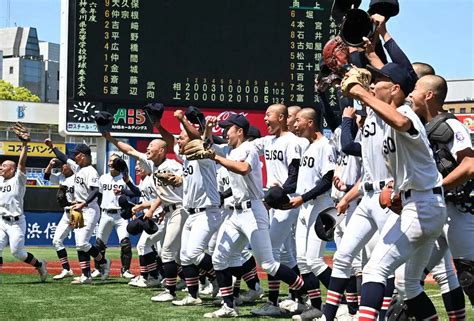 ＜向上・武相＞40年ぶりの関東大会出場を決め喜ぶ武相ナイン（撮影・村井 樹） ― スポニチ Sponichi Annex 野球