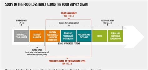 「食品ロス」と「フードロス」は違う？その理由をsdgsとfaoの定義から読みとく サストモ 知る、つながる、はじまる。｜ Yahoo Japan Line