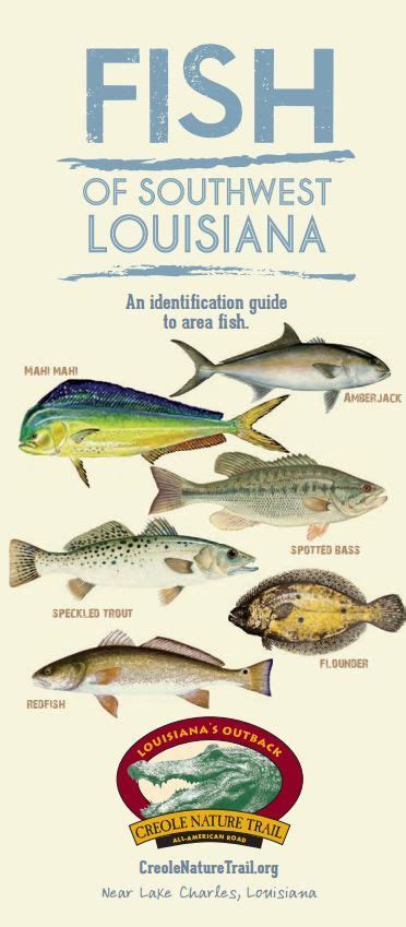 An Identification Fishing Guide Of Southwest Louisiana Learn More At