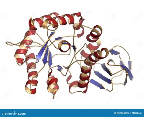 Alpha-galactosidase Agalsidase Enzyme. Cause Of Fabry`s Disease. Administered As Enzyme ...