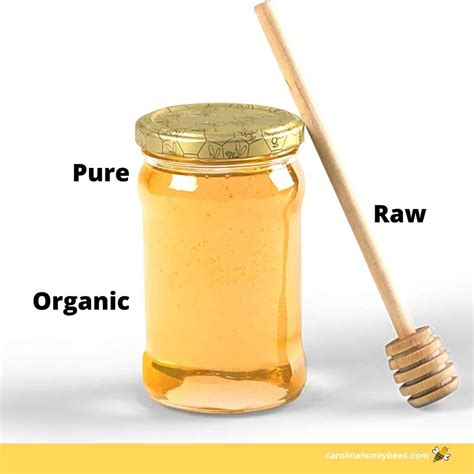 Best Organic Raw Honey