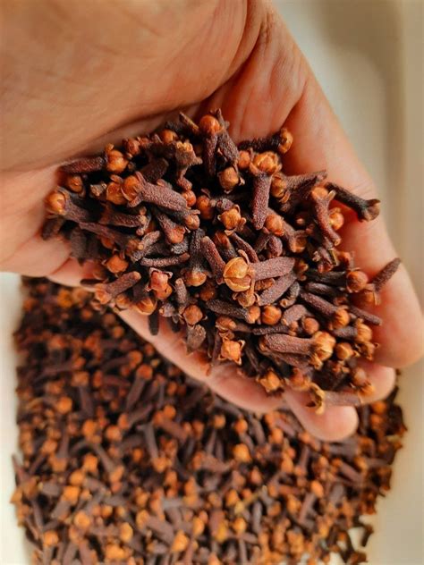 Brown Whole Dry Clove For Cooking Packaging Size 1 Kg At Rs 805 Kg