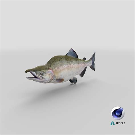 Pink Salmon 3d模型 3d模型 49 3ds C4d Fbx Ma Obj Max Unitypackage