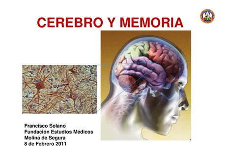 PPT Cerebro y memoria genómicas uDocz