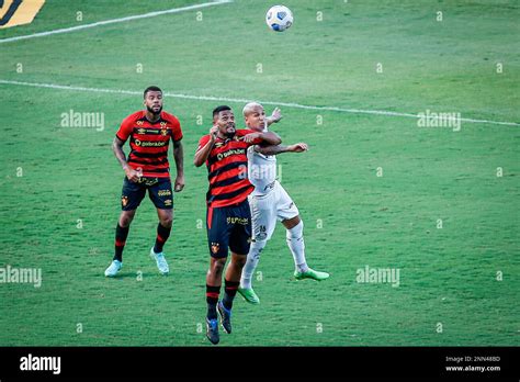 Pe Recife Brazilian A Sport X Palmeiras Sabino