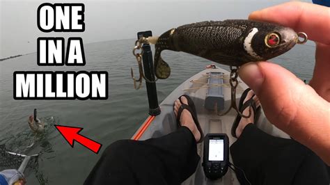 Whopper Plopper Bass Fishing Bass Manager The Best Bass Fishing