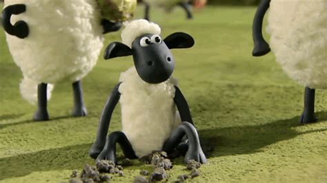 Shaun The Sheep Football  By Aardman Animations Find And Share On Giphy