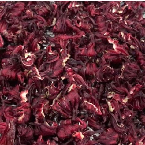 Organic Hibiscus Flower C S Hibiscus Sabdariffa Etsy