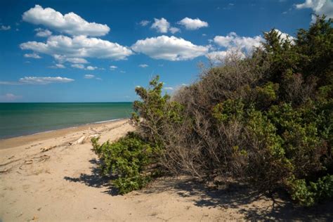 Campomarino Mare Cosa Vedere E Hotel Consigliati Turismoabruzzoit