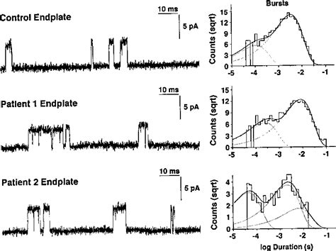 Figure From Congenital Myasthenic Syndromes Due To Heteroallelic