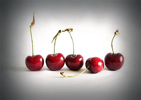 Cherry Berries Cherry Ripe Hd Wallpaper Wallpaperbetter