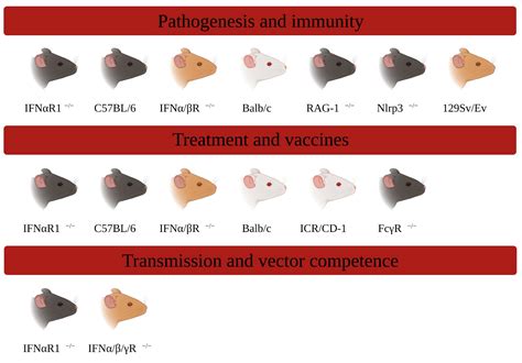 Local residents in chryston united kingdom fight against new developments 13