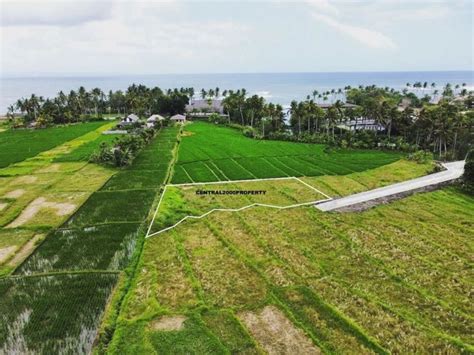 Dijual Tanah View Sawah Laut Dikawasan Pantai Cemagi Badung Bali