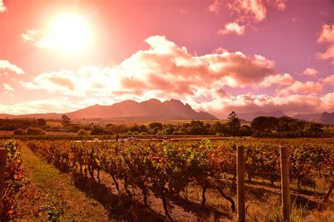 Stellenbosch Wine Route Western Cape South Africa Flickr