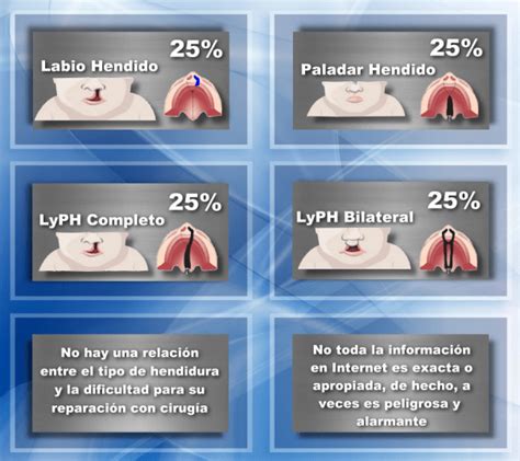 Labio Y Paladar Hendido Centro De Cirug A Especial De M Xico Iap