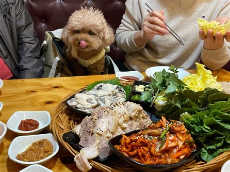 울산 맛집애견동반 가능 식당 신정동 백주막 동네 맛집 노포 맛집 굴보쌈 과메기 네이버 블로그