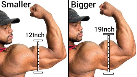 Arms Workouts To Get Huge Biceps Triceps Exercise Youtube