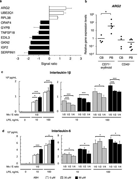 Production Of Inflammatory Cytokines Induced By Arginase Inhibitor Download Scientific Diagram