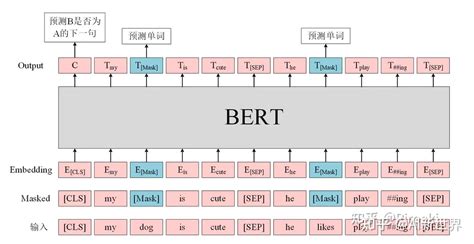 第一次见有人把transformer、bert和gpt大模型讲的这么通俗易懂！ 知乎