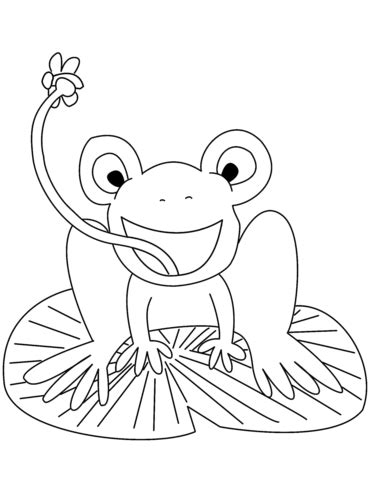 Coloriage Grenouille sur nénuphar Coloriages à imprimer gratuits