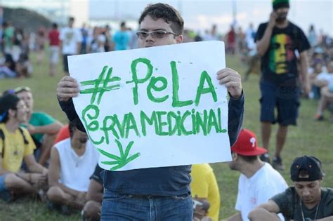 Anvisa Já Aprovou 113 Pedidos Para Uso De Medicamento Derivado Da Maconha