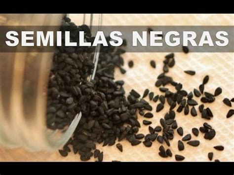 Estos Son Los 5 Mejores Beneficios De Las Semillas Negras Para La Salud