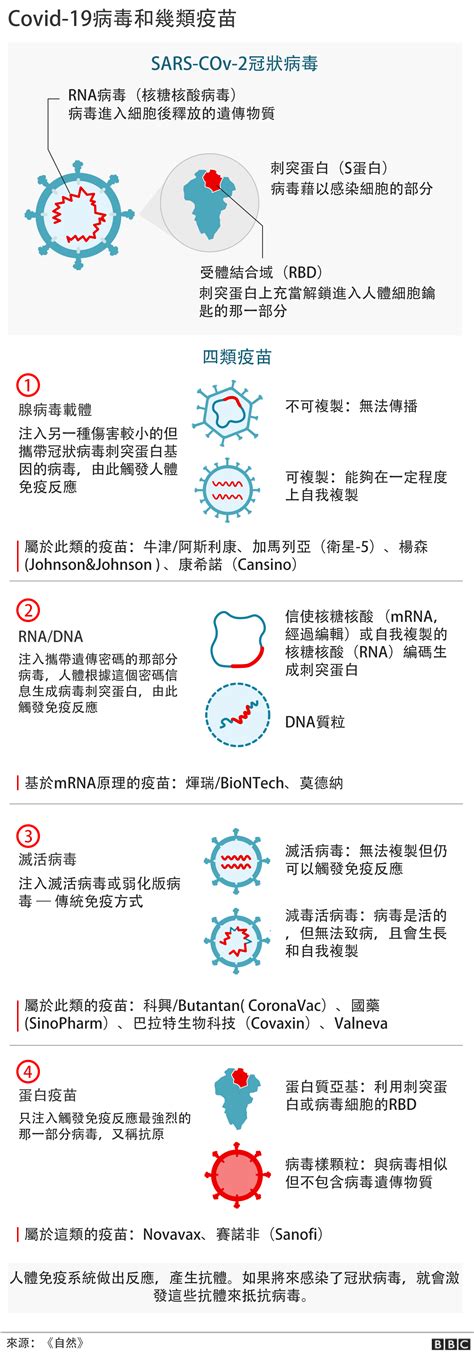 新冠疫情：世界各地和你所在地方疫苗接種進展程度 Bbc News 中文