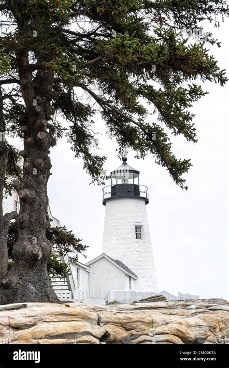 Tree Point Light Hi Res Stock Photography And Images Alamy