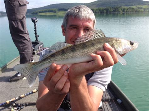 Belle série sur Montbel Stéphane Legentilhomme guide de pêche