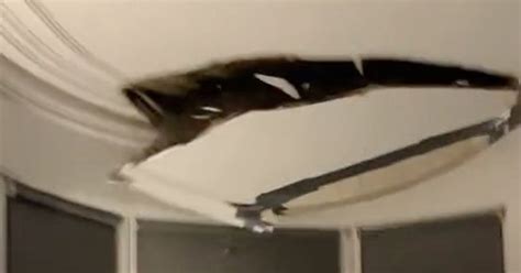 Woman Catches Terrifying Moment Her Ceiling Falls Down Inches Away From