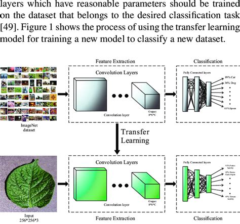 An Illustration Of Using A Pre Trained Based Model To Classify A New Download Scientific