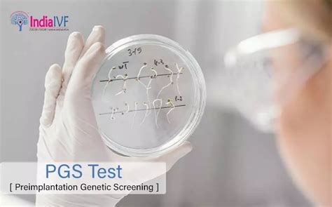 Pgs Testing Pre Implantation Genetic Screening India Ivf