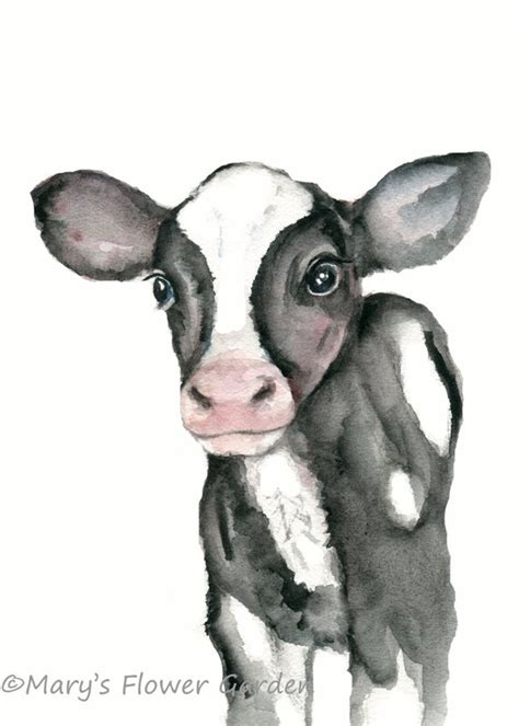 Calf Watercolor Print Calf Painting Cow Nursery Art Black | Etsy