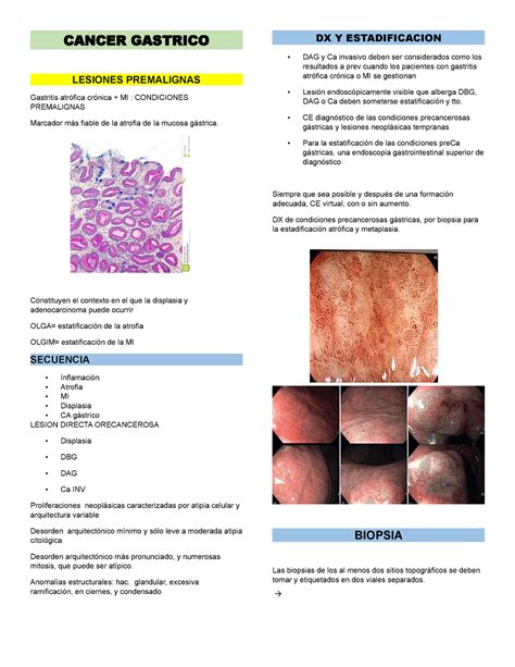 Cancer Gastrico Resumen De Clase Pasada CANCER GASTRICO LESIONES