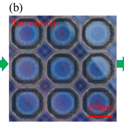 The Dynamic Formation Process Of Obtained Microstructure Left To Download Scientific Diagram