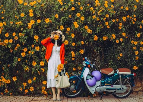 Top 6 Mẫu Xe Cub Đẹp Cho Nữ Bán Chạy Đáng Mua Nhất 2022