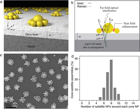 Core Satellite Nanoassemblies On An Optical Interference Substrate And