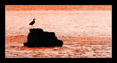 Waiting Taken At Carr Mill Dam St Helens Merseyside Eric Mercer