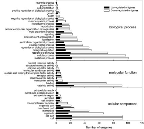 Functional Gene Ontology Go Classification Of 173 Annotated Download Scientific Diagram